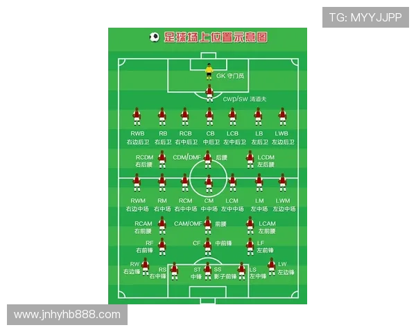 武汉排球队进攻战术解析与球队表现的深度剖析